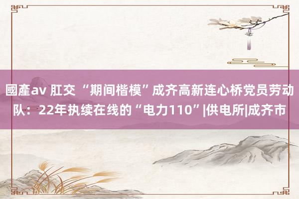 國產av 肛交 “期间楷模”成齐高新连心桥党员劳动队:22年执续在线的“电力110”|供电所|成齐市