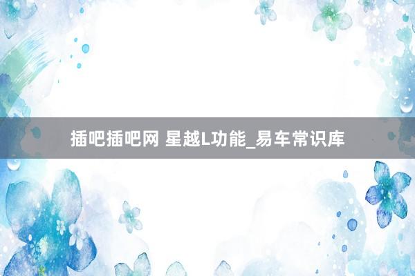 插吧插吧网 星越L功能_易车常识库