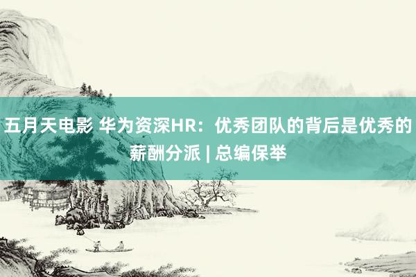 五月天电影 华为资深HR:优秀团队的背后是优秀的薪酬分派 | 总编保举