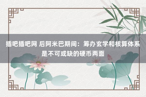 插吧插吧网 后阿米巴期间:筹办玄学和核算体系是不可或缺的硬币两面
