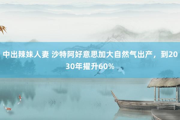 中出辣妹人妻 沙特阿好意思加大自然气出产,到2030年擢升60%