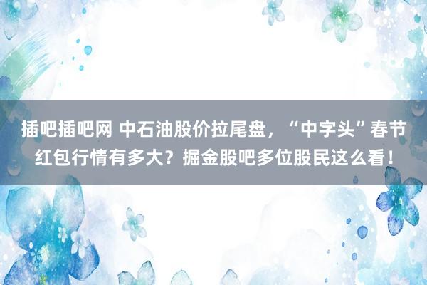 插吧插吧网 中石油股价拉尾盘,“中字头”春节红包行情有多大?掘金股吧多位股民这么看!