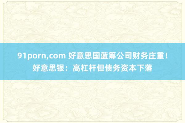 91porn,com 好意思国蓝筹公司财务庄重!好意思银:高杠杆但债务资本下落