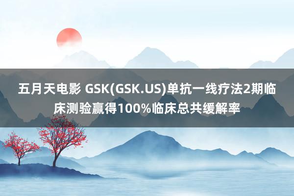五月天电影 GSK(GSK.US)单抗一线疗法2期临床测验赢得100%临床总共缓解率