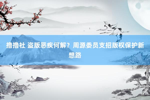 撸撸社 盗版恶疾何解？周源委员支招版权保护新想路
