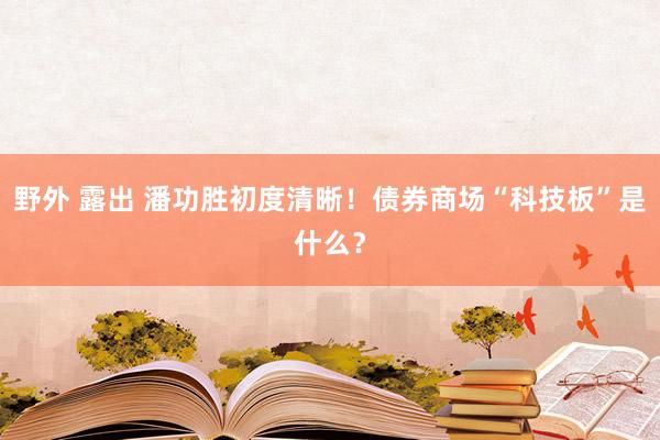 野外 露出 潘功胜初度清晰！债券商场“科技板”是什么？