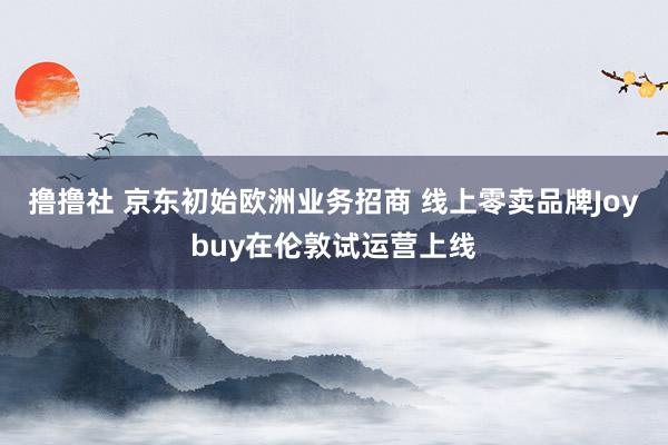 撸撸社 京东初始欧洲业务招商 线上零卖品牌Joybuy在伦敦试运营上线
